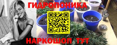 СК Аргун
