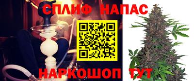 шишки Апшеронск