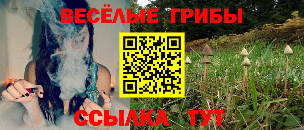 Галлюциногенные грибы Magic Shrooms  Вход с VPN  Вичуга  Псилоцибиновые грибы GOLDEN TEACHER 